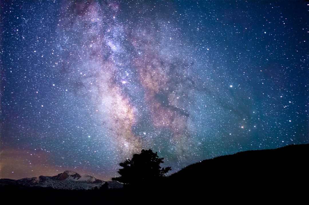 silhouette of trees and mountain under blue sky at nighttime