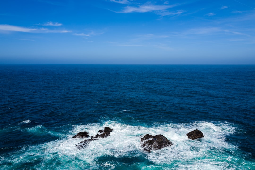 bird's eye view photography of body of water