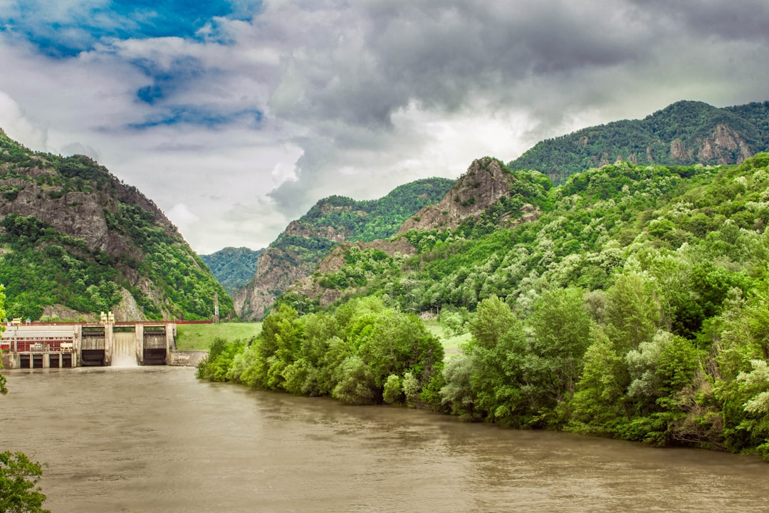 green trees near body of water under cloudy sky during daytime