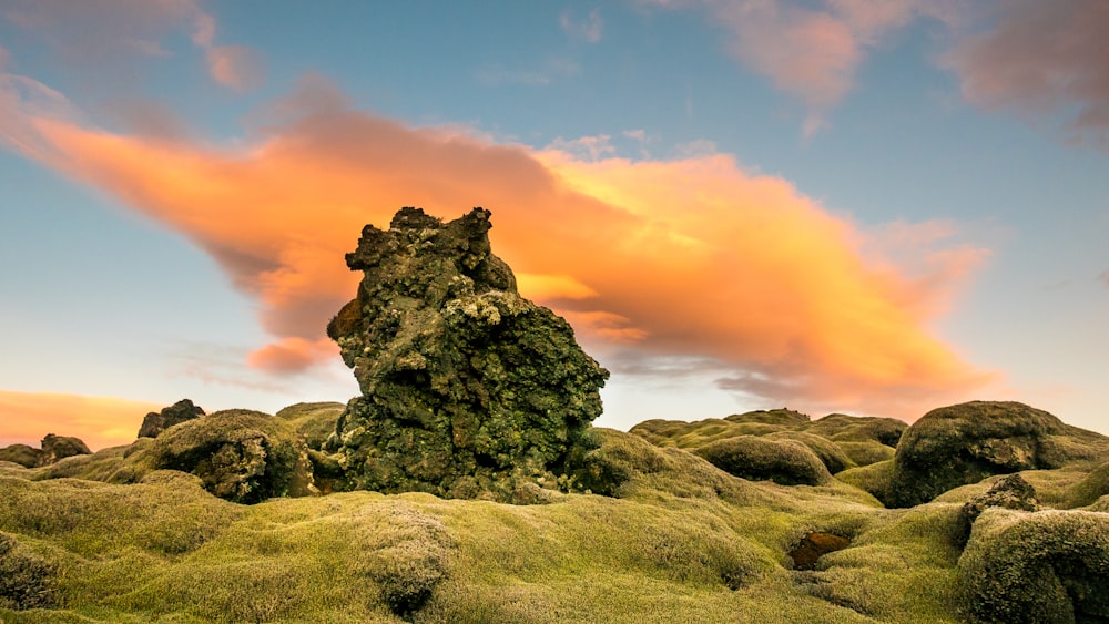 photo of grass covered rocks