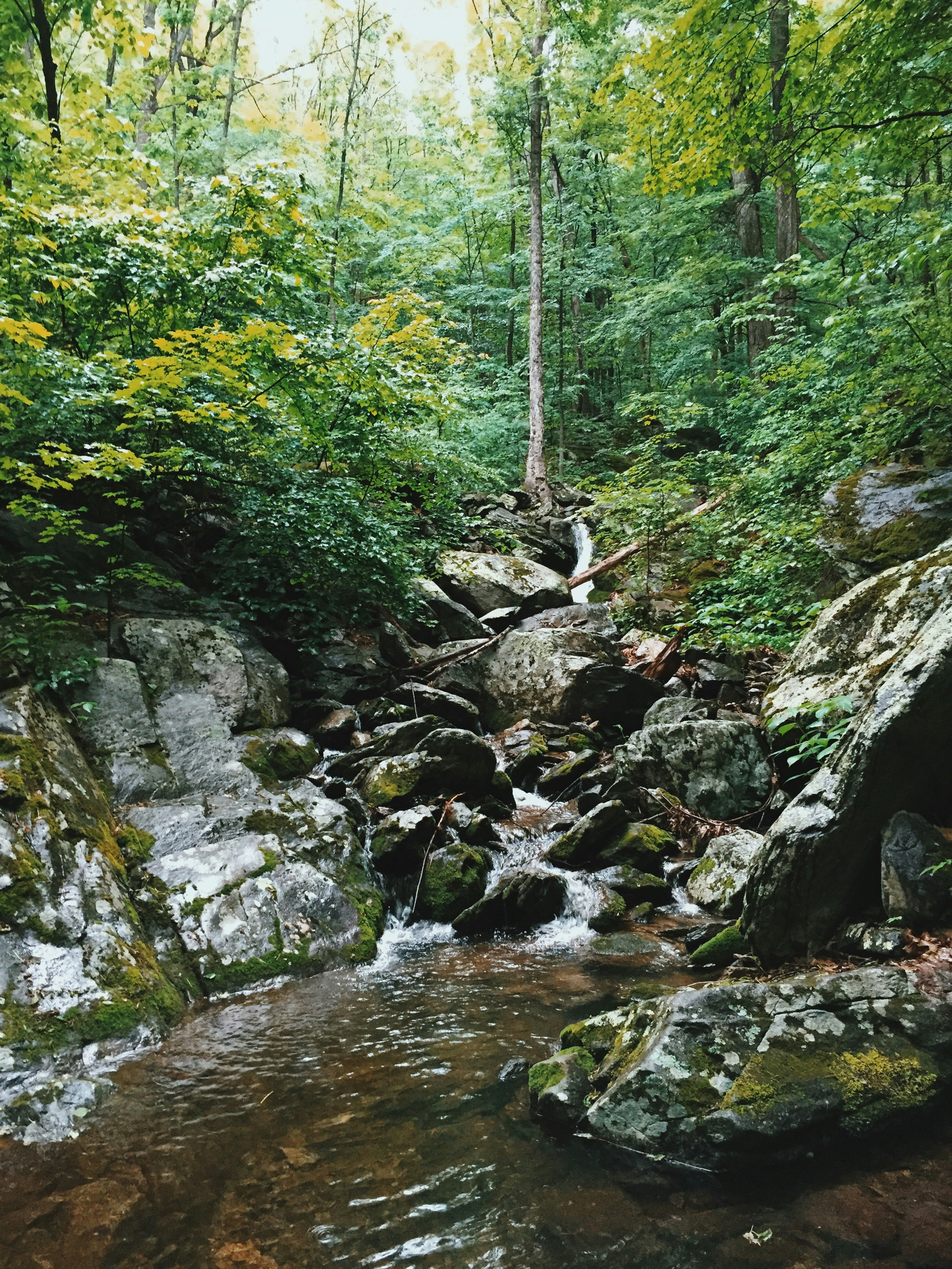 Free Unsplash photo from Timothy Meinberg