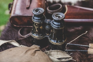 A pair of vintage black binoculars with worn paint rests on a dark furry surface, accompanied by a leather carrying case and part of a rifle. The scene is outdoors, with bits of greenery visible in the blurred background.