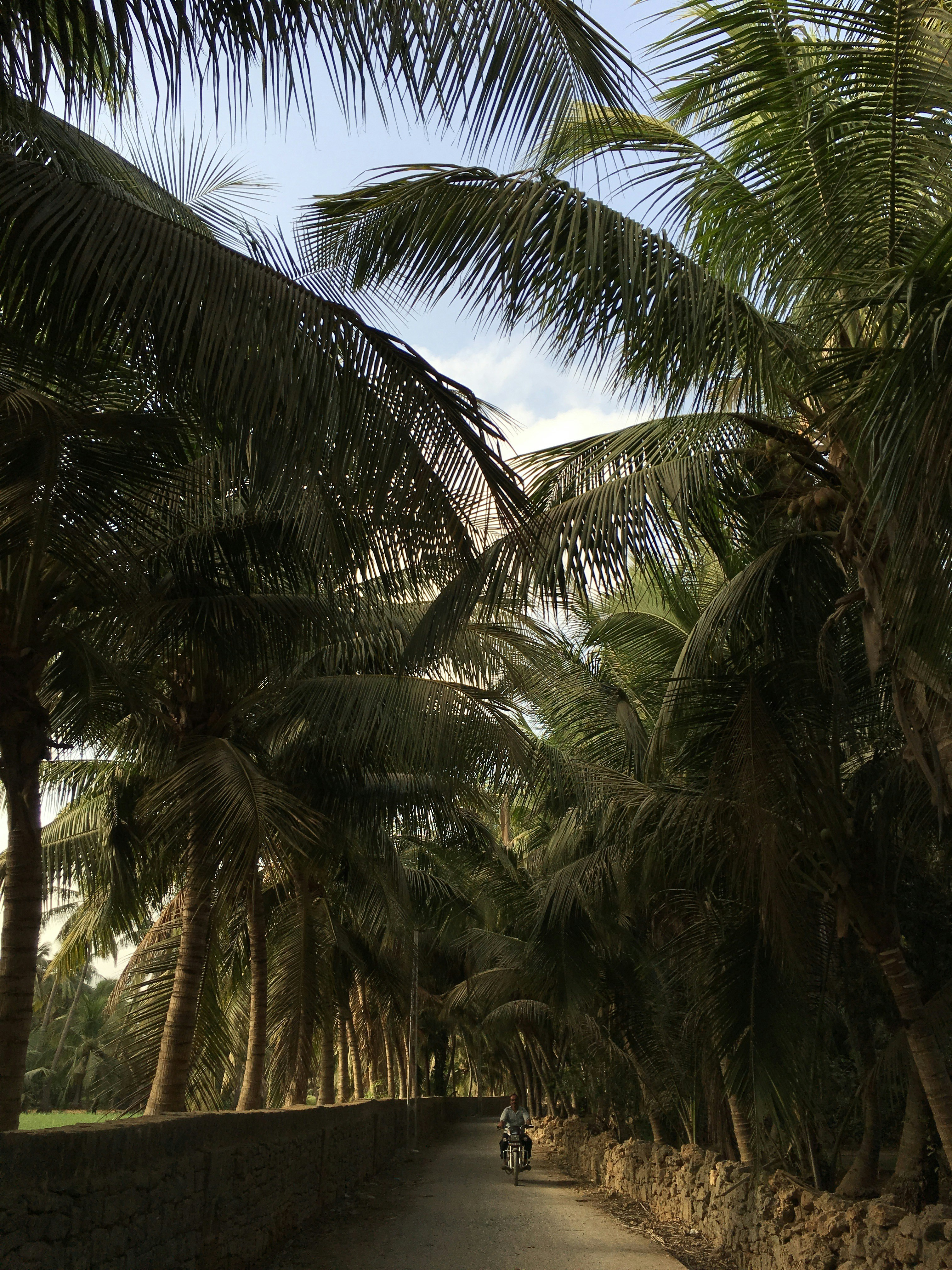 Free Unsplash photo from Priyank  Gajera