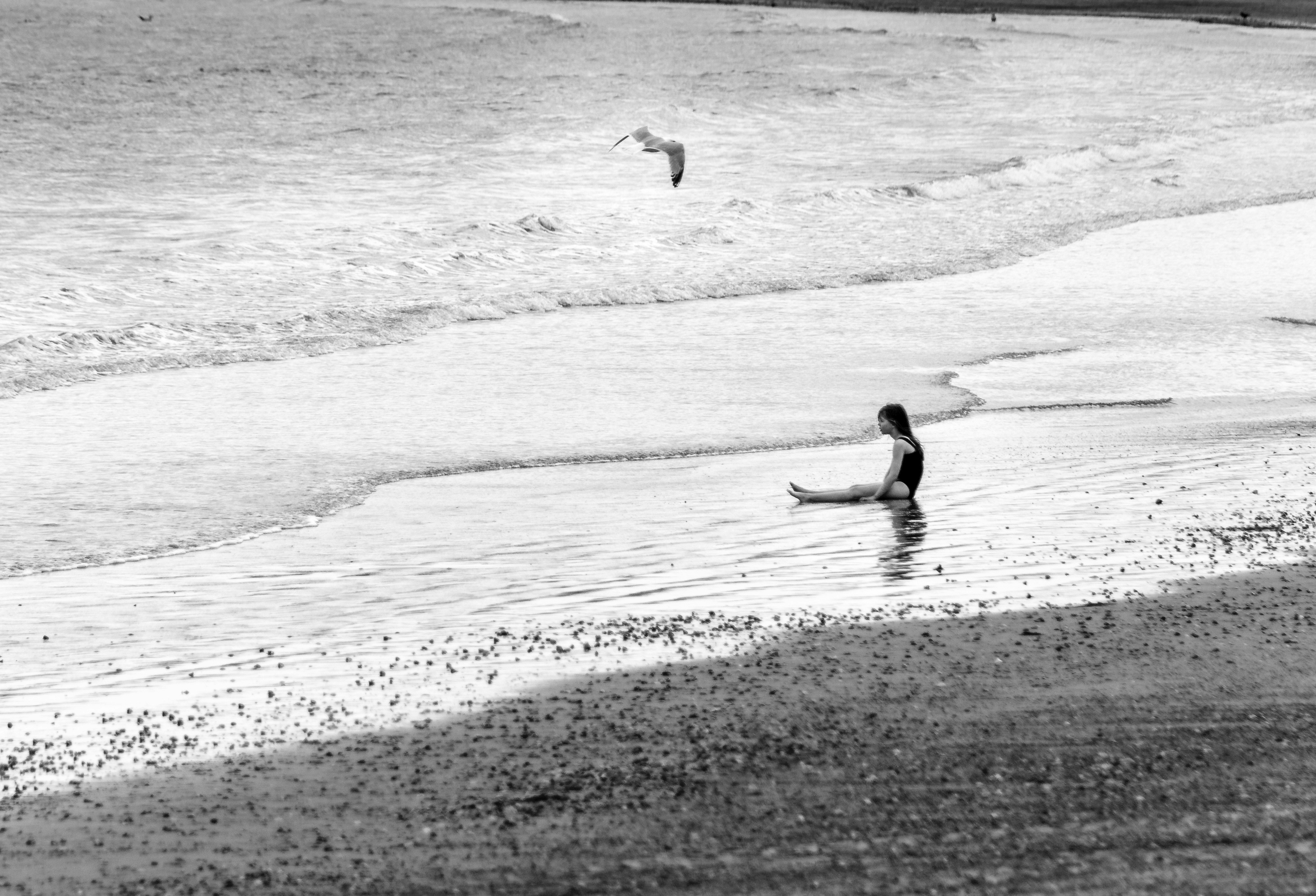 Free Unsplash photo from Victoria Welton