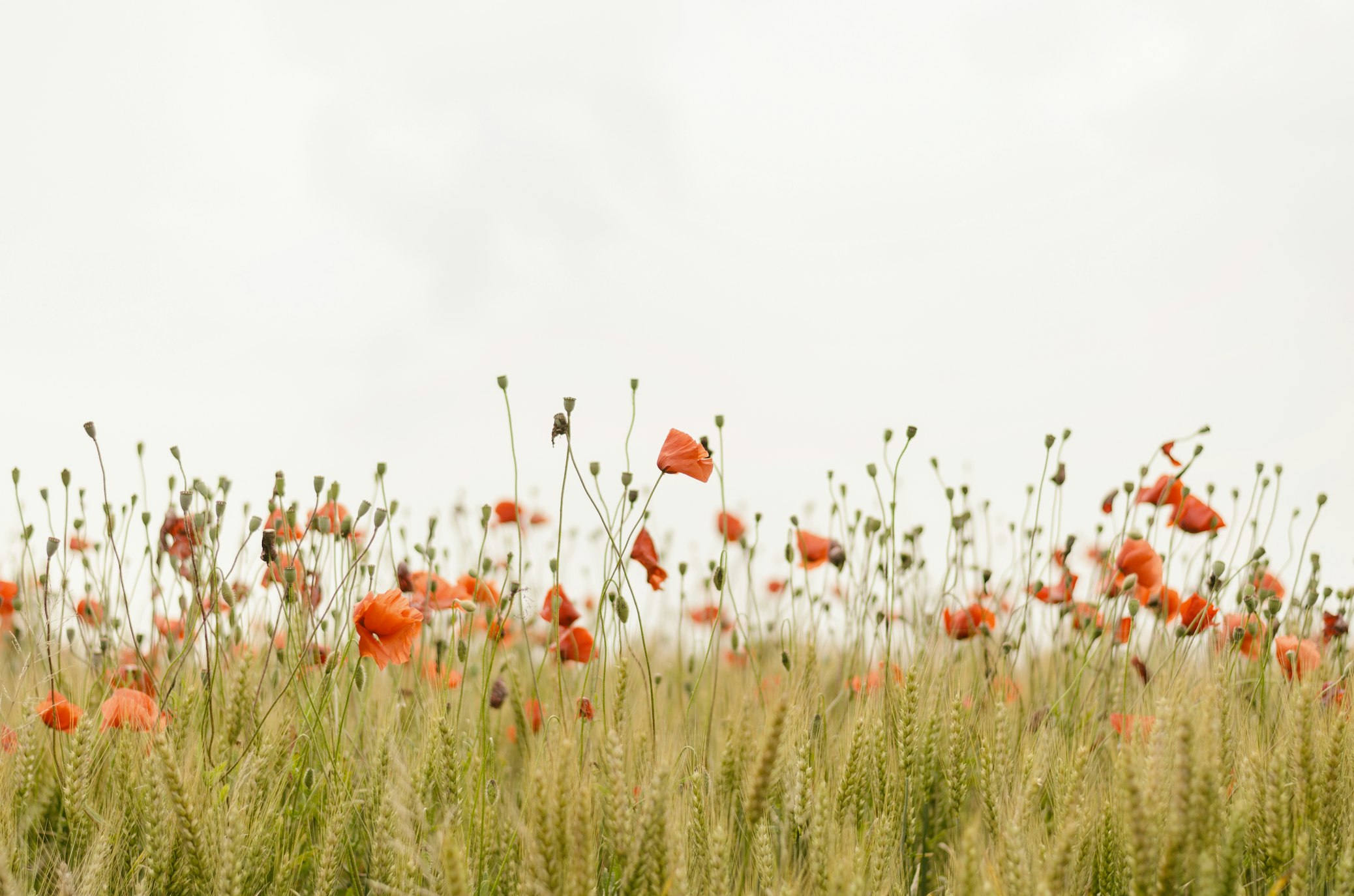 Person observing nature mindfully