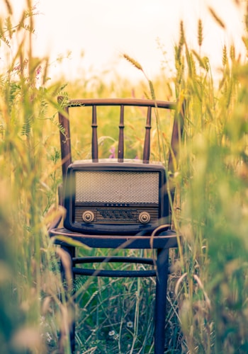 black transistor radio in the middle of the field