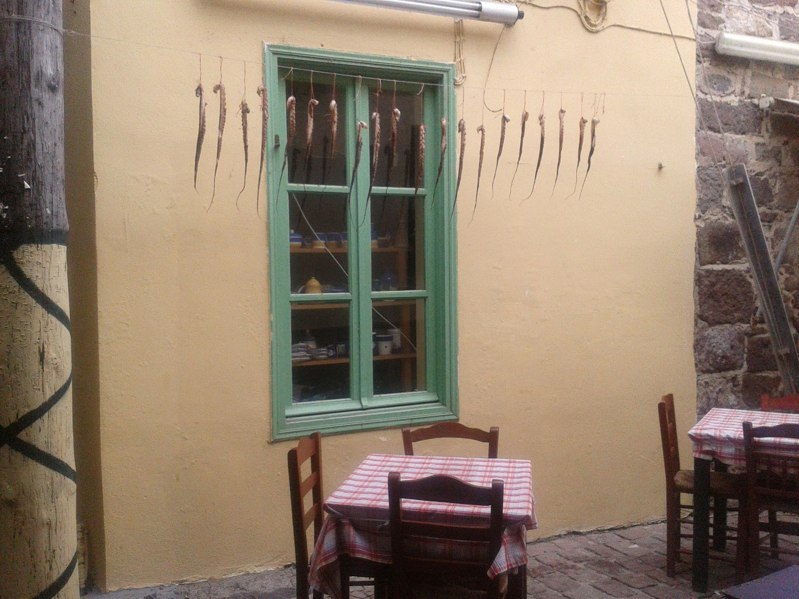 Free Unsplash photo from Karin Scholte