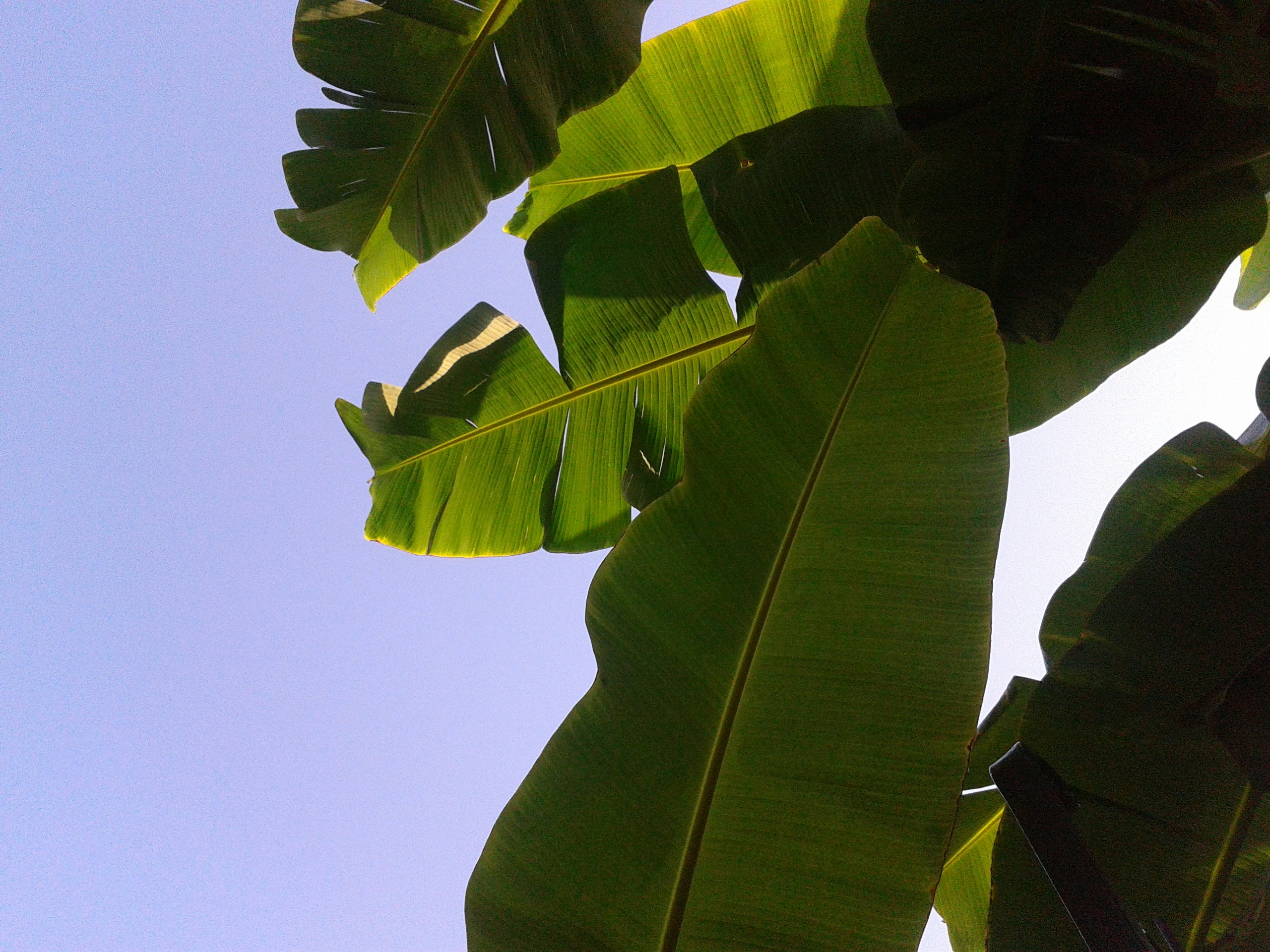 Free Unsplash photo from Karin Scholte