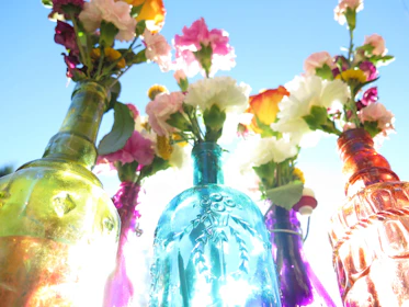 Bright glass bottles filled with vibrant herbal extracts glowing in natural sunlight.