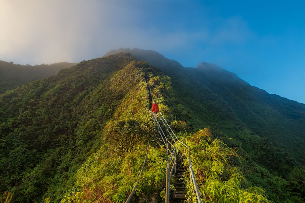 aerial photography of mountain bridge