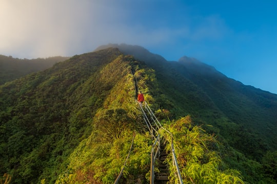 aerial photography of mountain bridge in Haiku Stairs United States