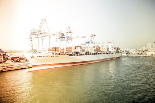 A large cargo ship named San Diego Bridge is docked at a busy port. It is loaded with numerous shipping containers and surrounded by towering cranes. The water is calm and the sky is clear, suggesting a sunny day. In the background, urban buildings are visible, adding to the industrial cityscape.