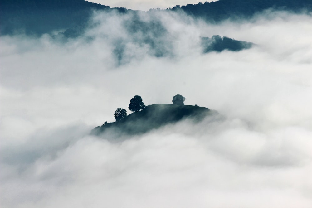 aerial photography of clouds