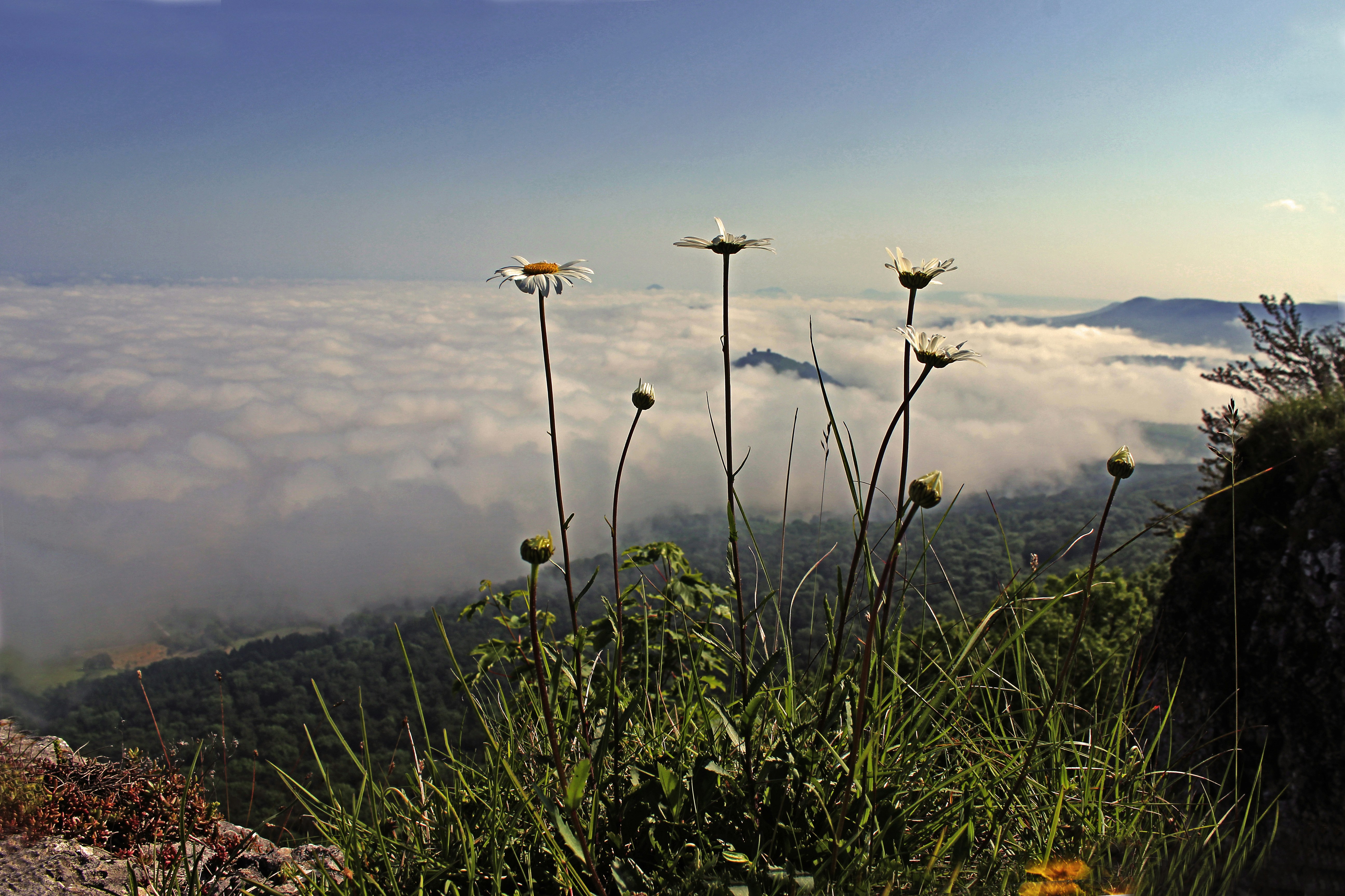 Free Unsplash photo from Jan Schulz # Webdesigner Stuttgart