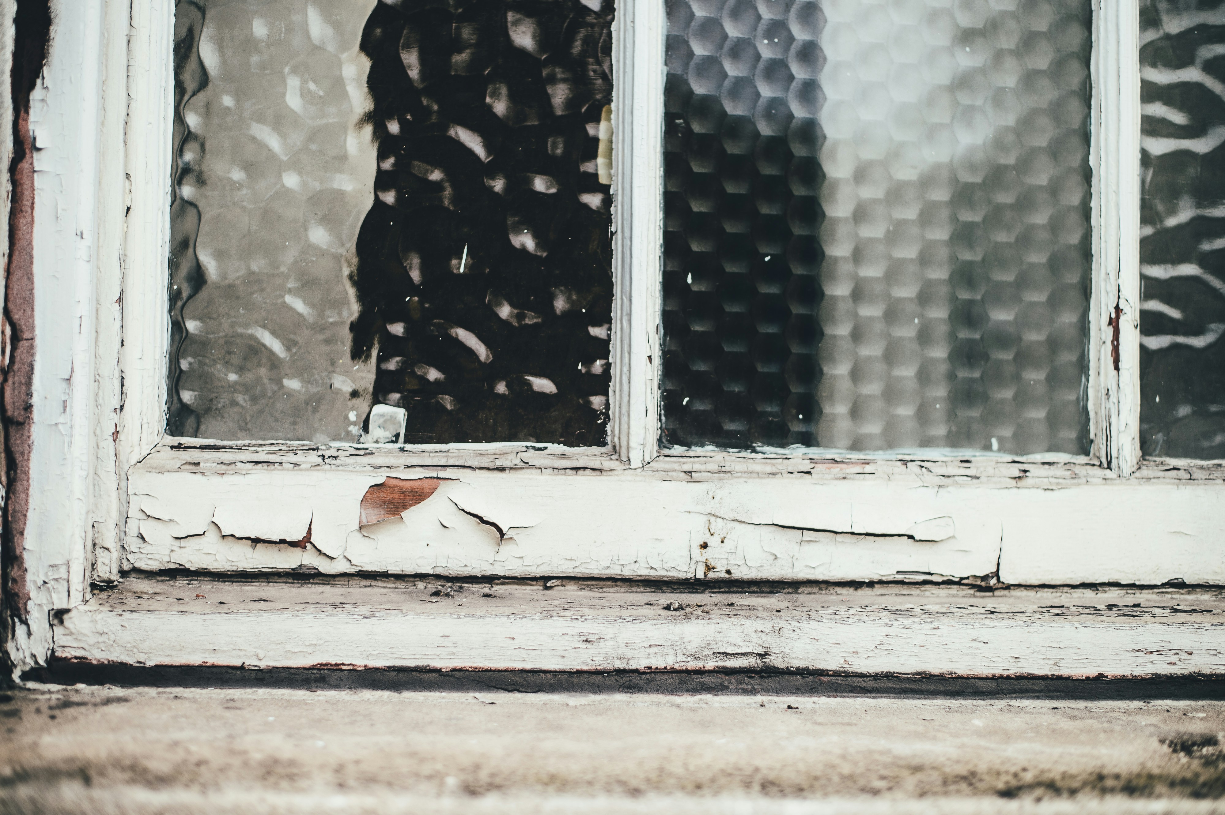 Free Unsplash photo from Annie Spratt