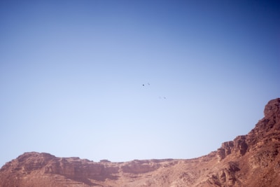 A group of researchers observing native desert wildlife under a clear blue sky.