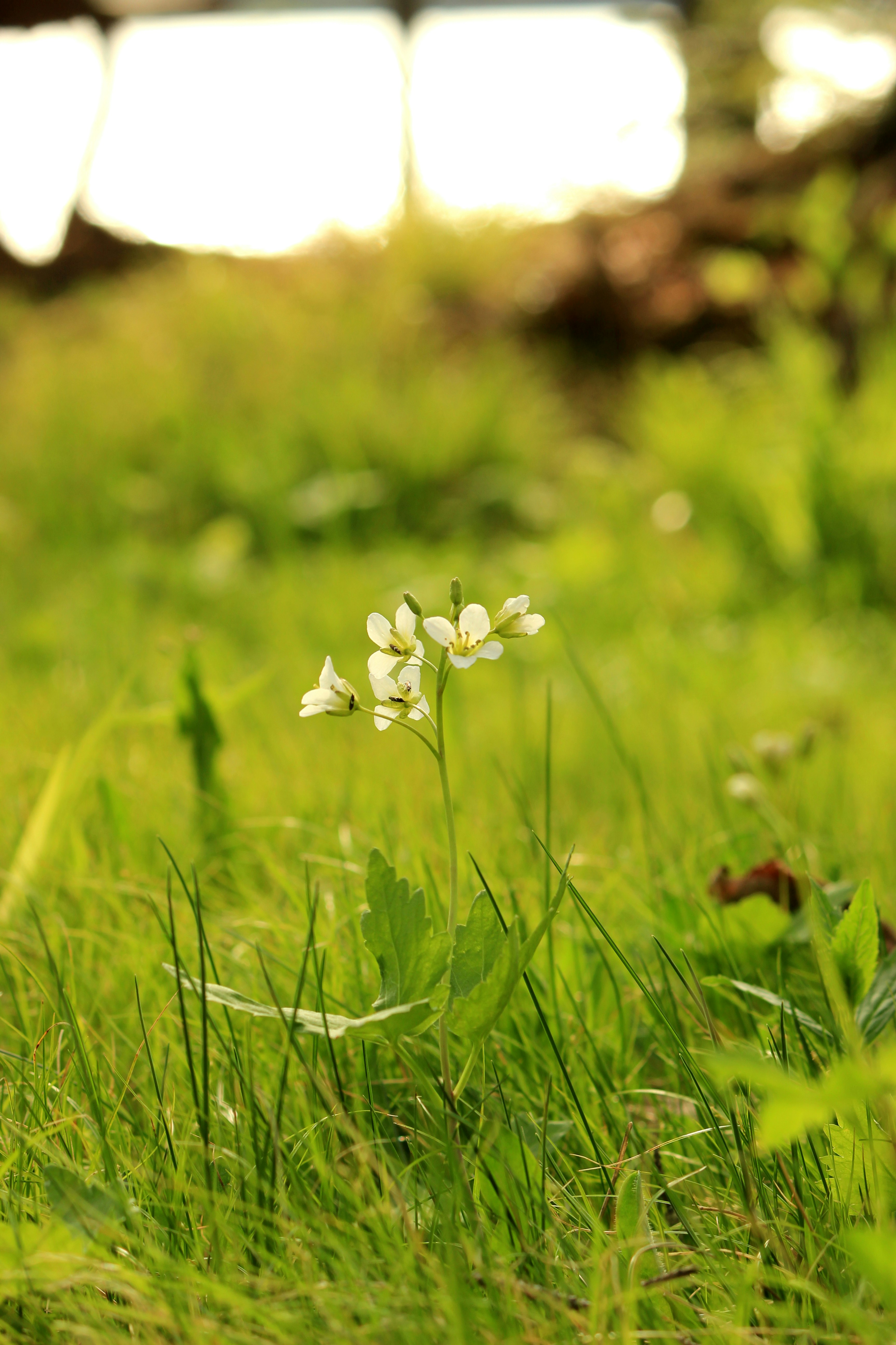 Free Unsplash photo from Taylor Petell