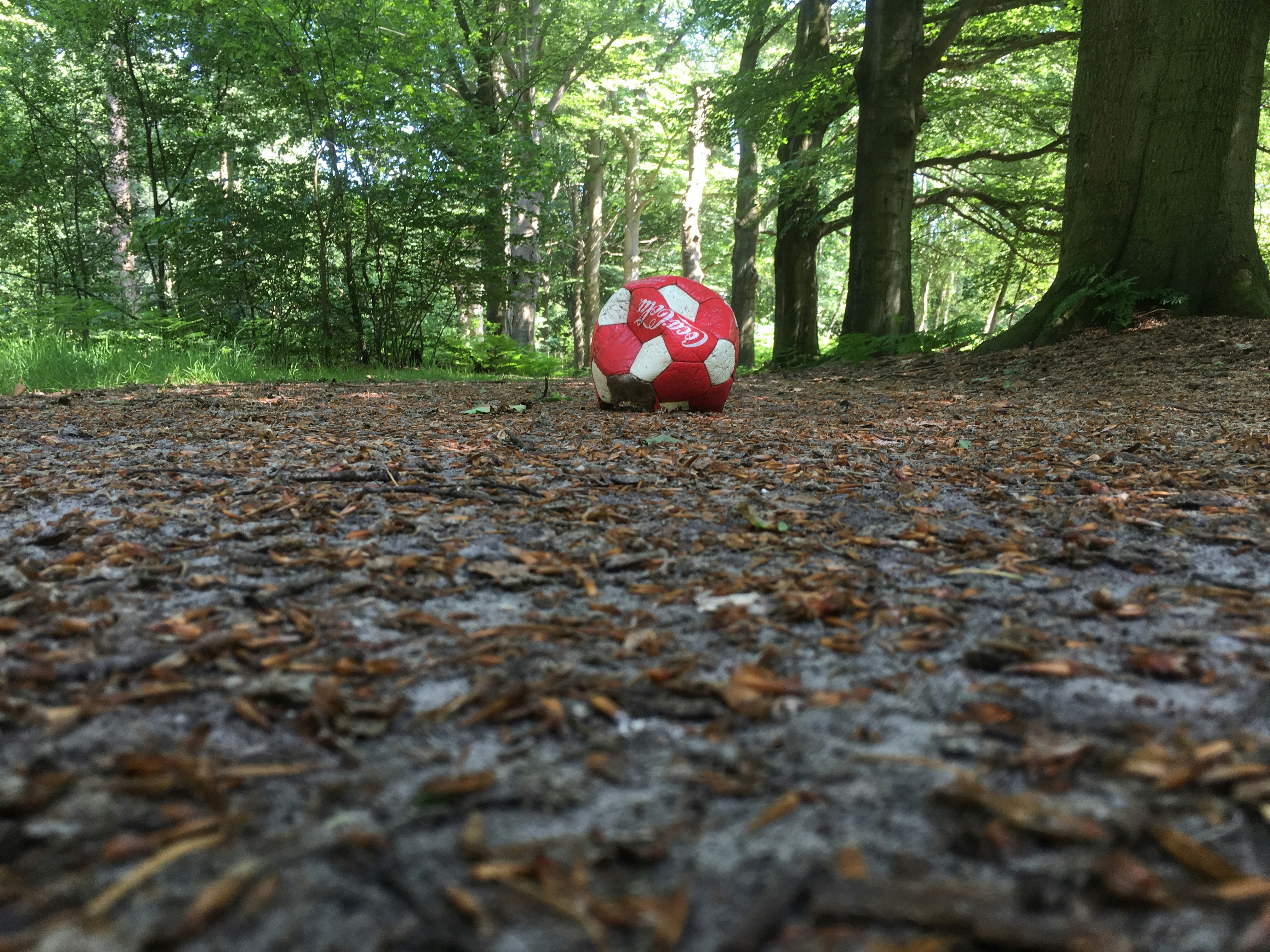 Free Unsplash photo from Madeleine Boerma