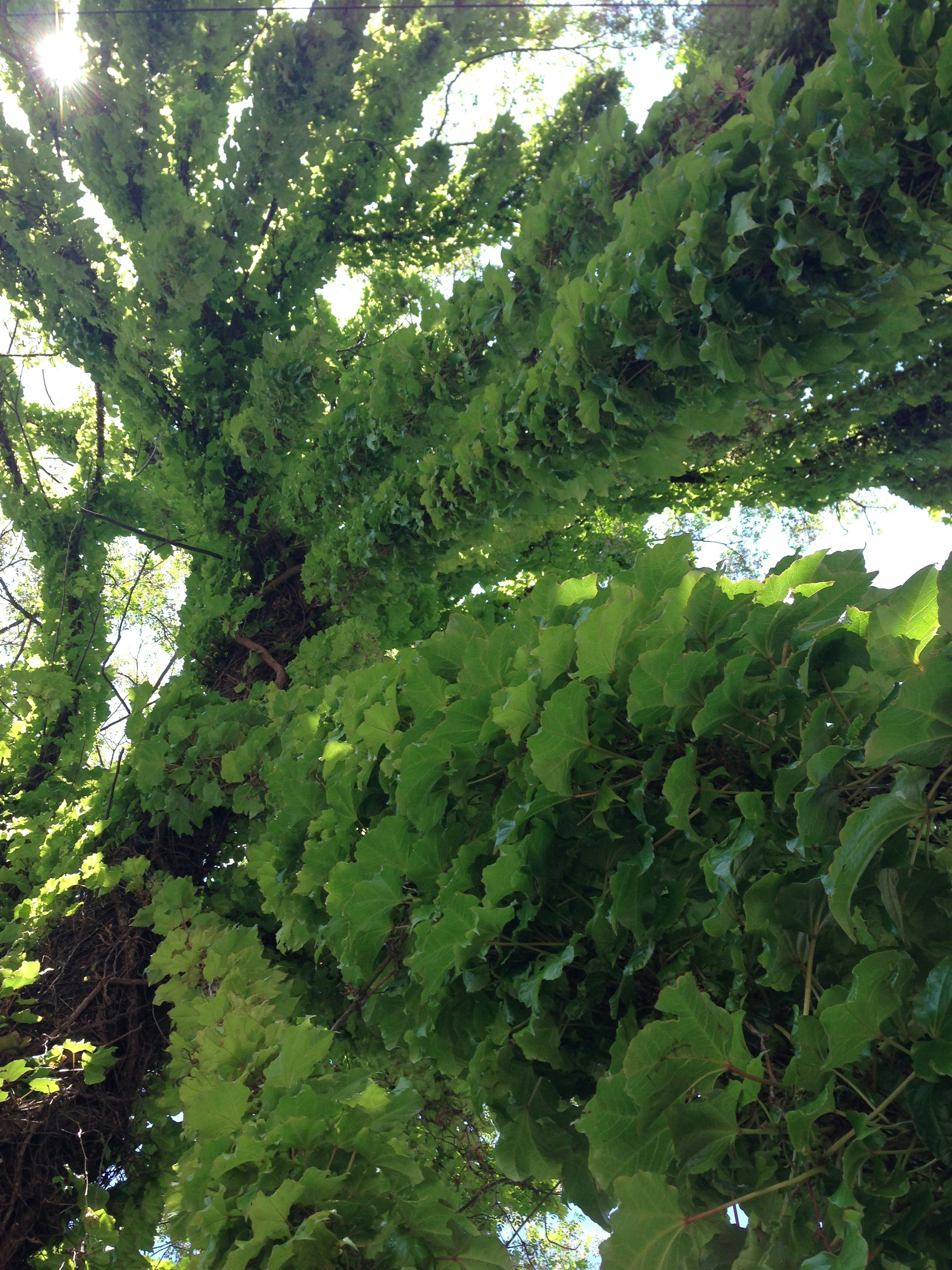 Free Unsplash photo from Rocio Velarde