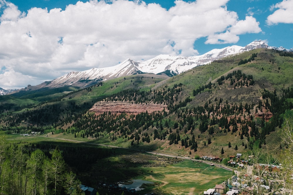 aerial photography of mountain and trees