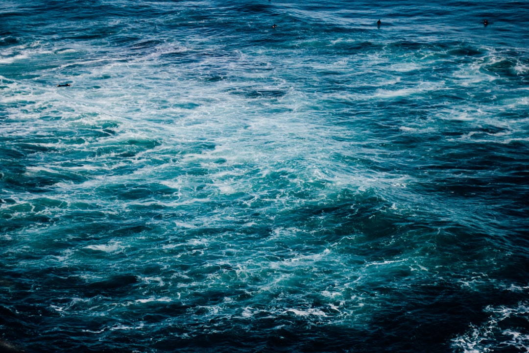 Ocean photo spot Muriwai Beach Tawharanui Peninsula