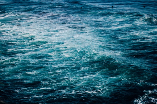 photo of Muriwai Beach Ocean near Shakespear Regional Park