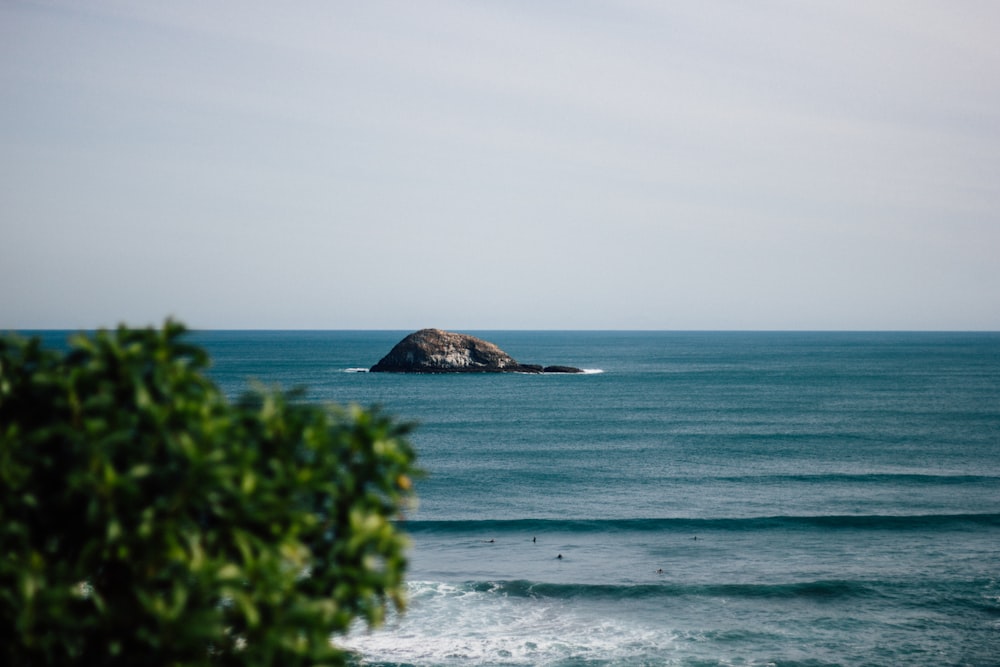 泳ぐ人の近くの島