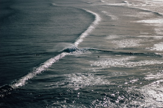 None in Muriwai Beach New Zealand