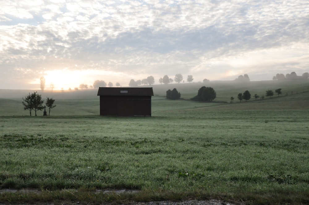 Schwarzes Haus in der Mitte der Graswiese Naturfotografie