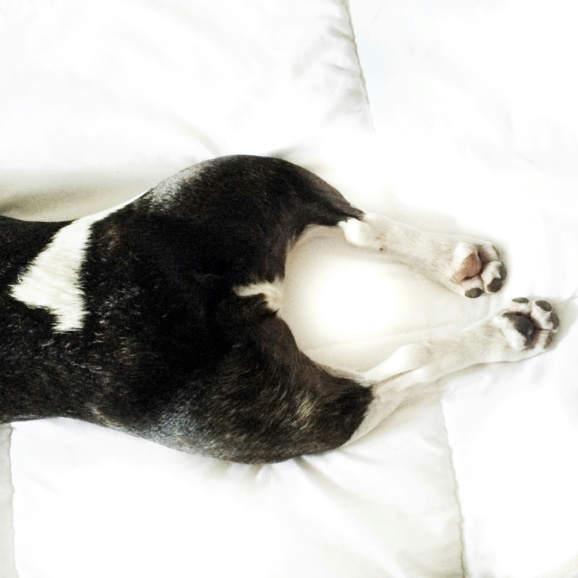 Free Unsplash photo from Maria Soledad