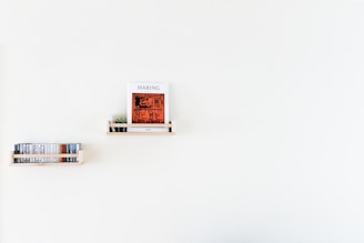A minimalistic wall contains two small wooden shelves. The upper shelf holds a book titled 'Haring' with an orange and black cover featuring abstract art. A small plant is placed beside the book. The lower shelf houses a collection of cassette tapes neatly arranged in a row.