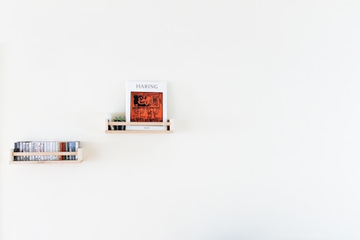 A minimalistic wall contains two small wooden shelves. The upper shelf holds a book titled 'Haring' with an orange and black cover featuring abstract art. A small plant is placed beside the book. The lower shelf houses a collection of cassette tapes neatly arranged in a row.