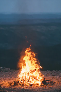 A rugged campfire glowing against a vast Mongolian steppe under a star-filled sky.