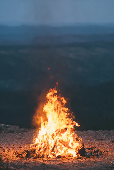 A rugged campfire glowing against a vast Mongolian steppe under a star-filled sky.