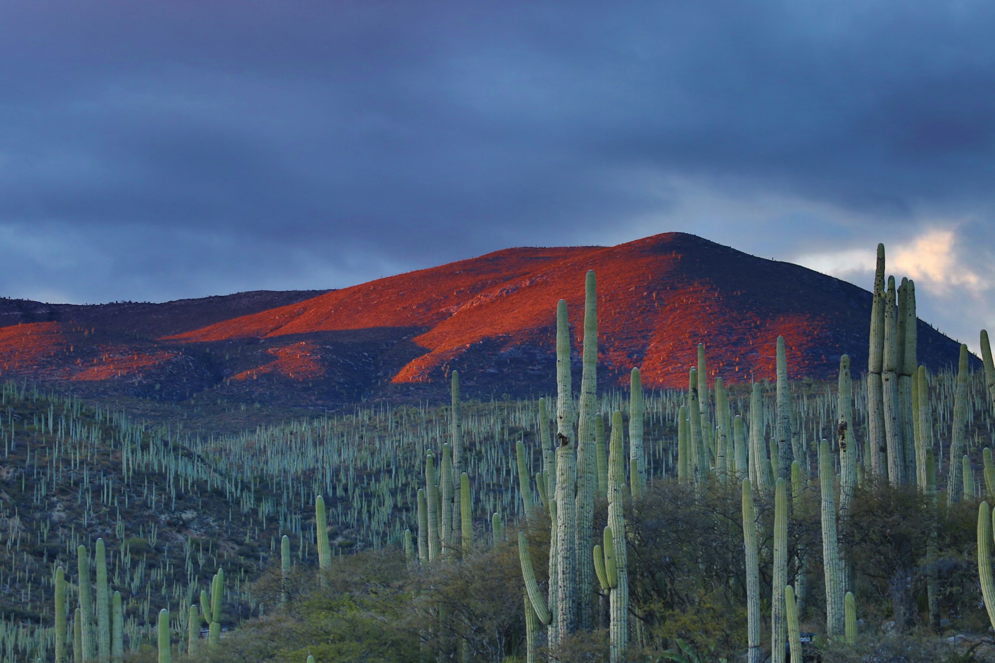 Exploring Mexico: A Comprehensive Travel Guide