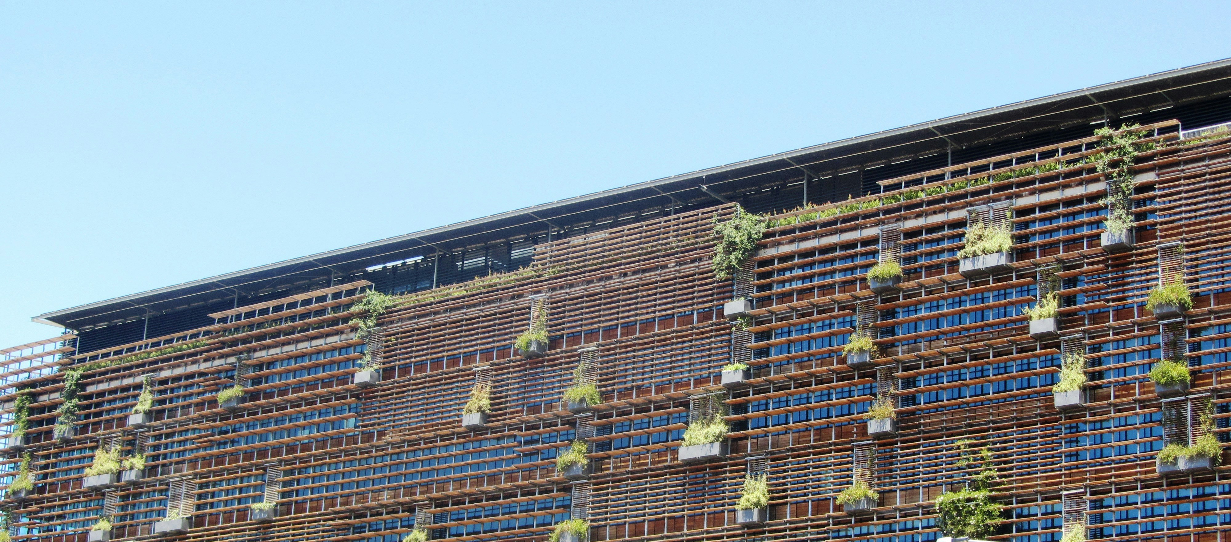 Free Unsplash photo from Kerry Crosswell