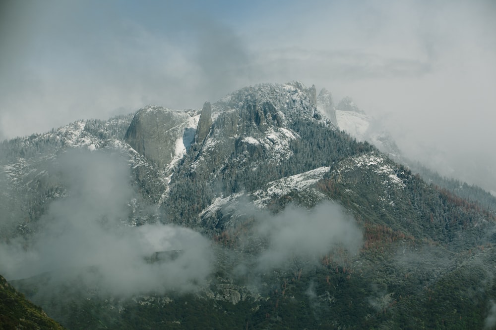 high mountain covered with trees