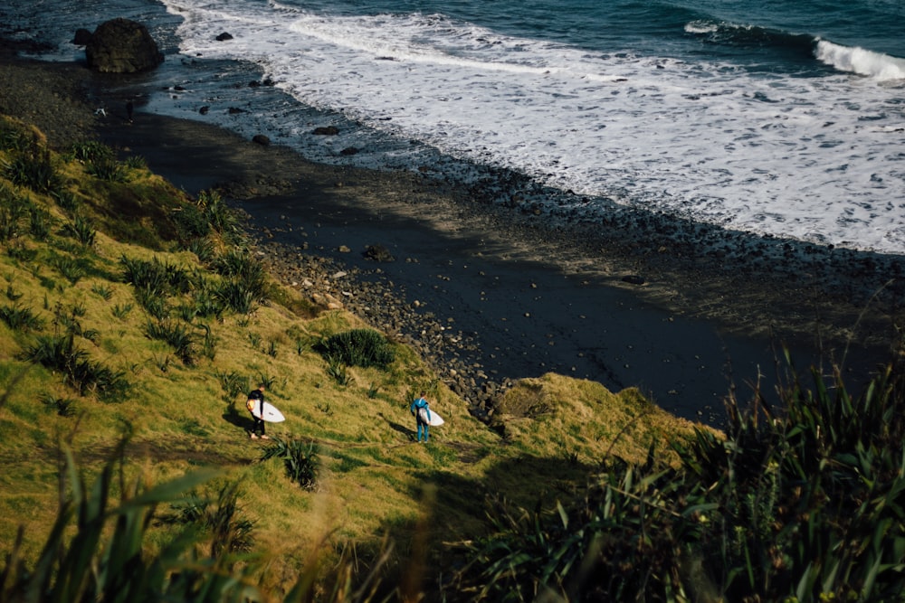 two person holding surfboard on seashore