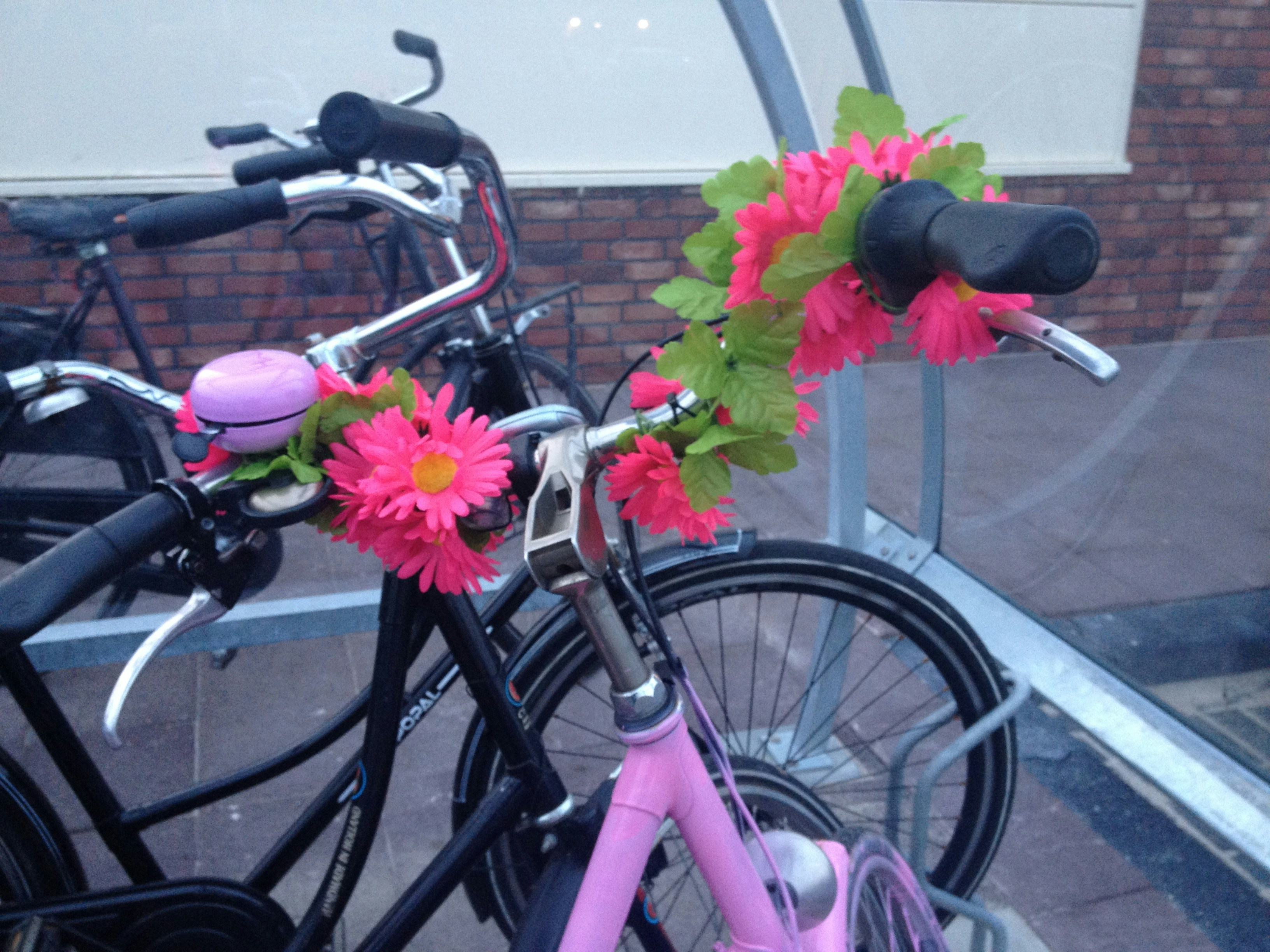 Free Unsplash photo from adi shaviv