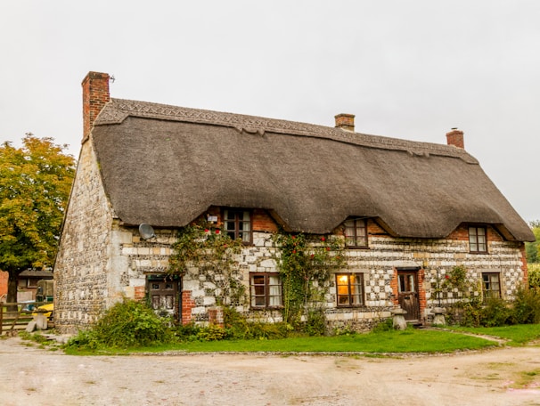 brown 2-storey house