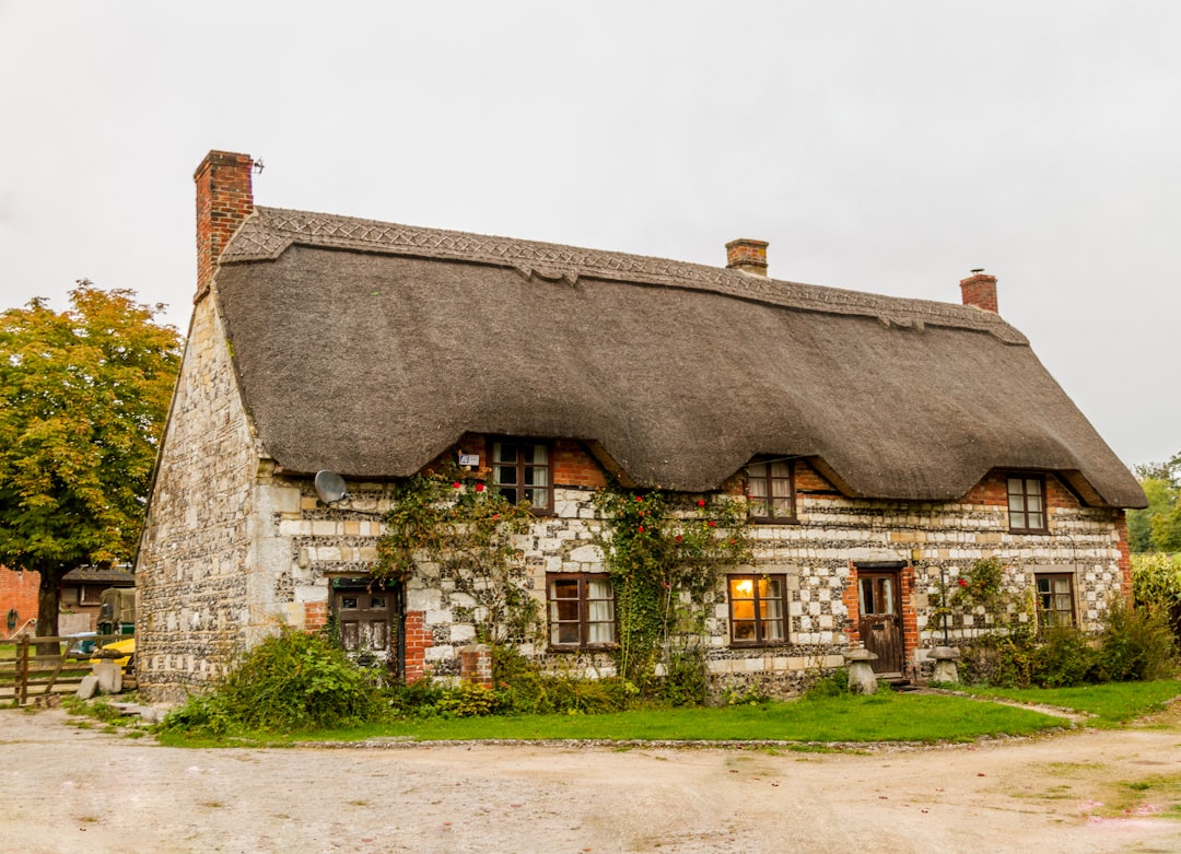 brown 2-storey house