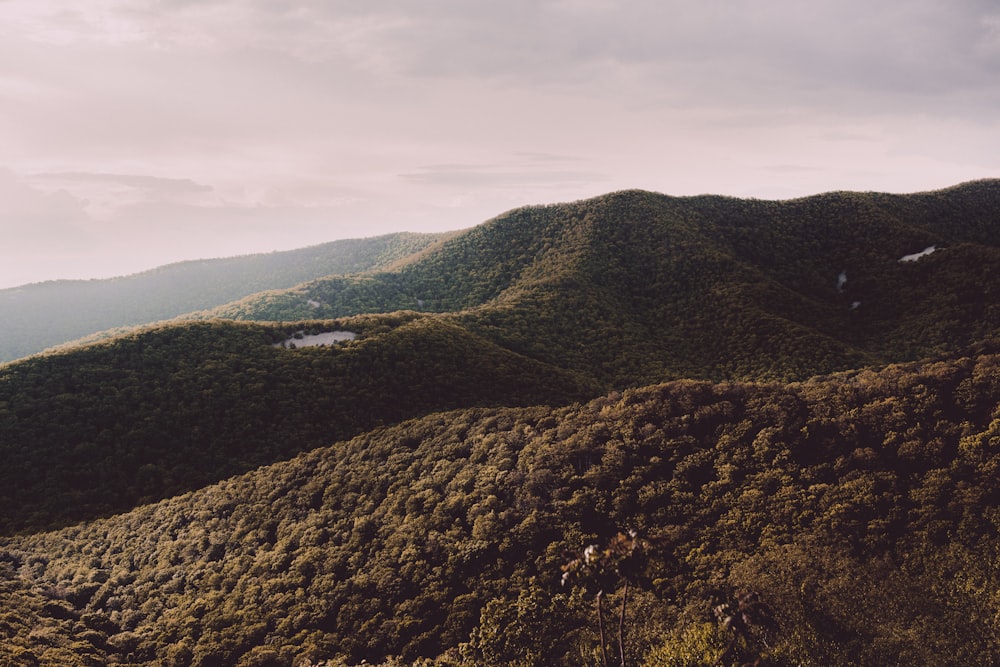 aerial photography of mountain