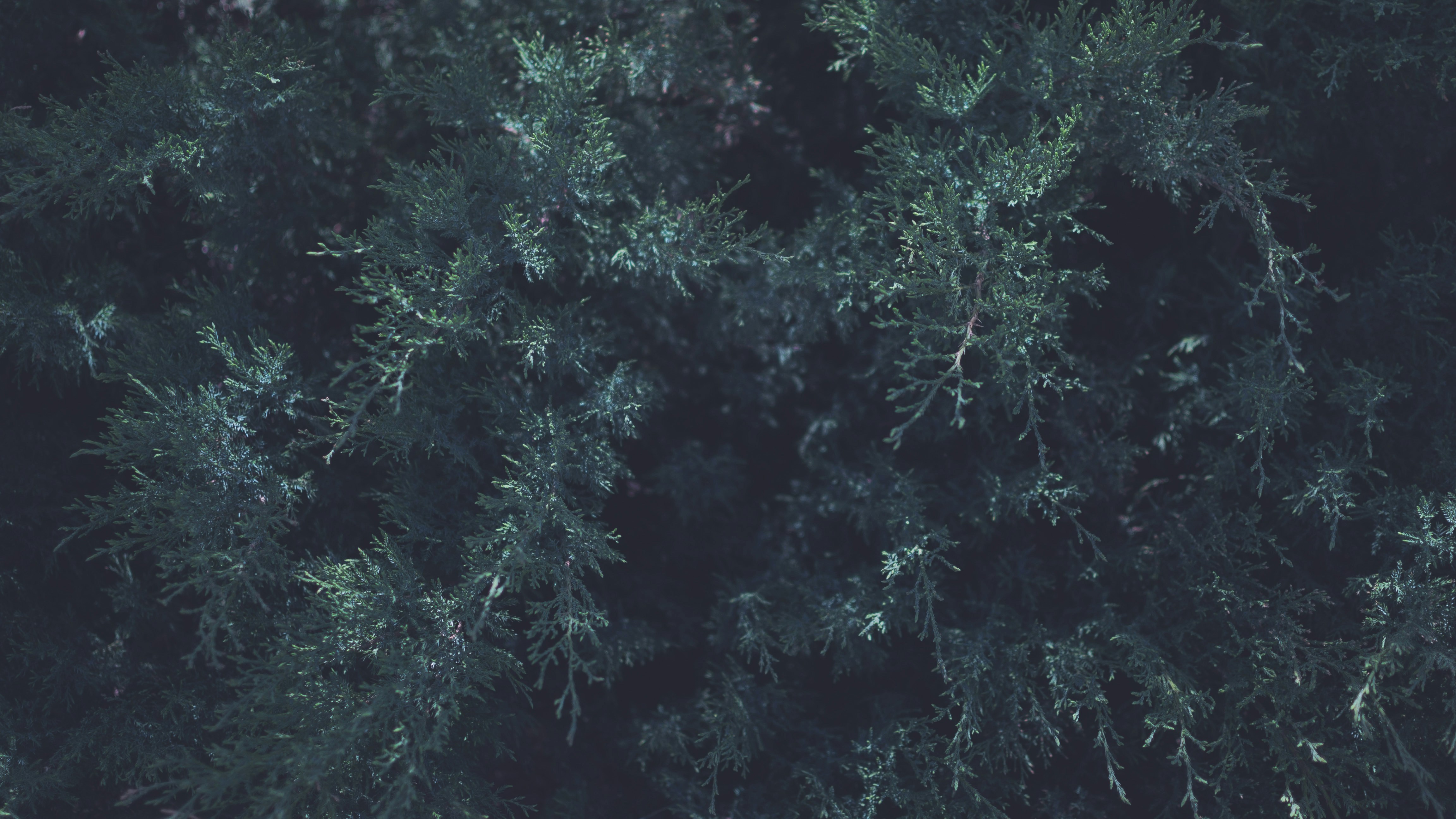 Free Unsplash photo from Andyone