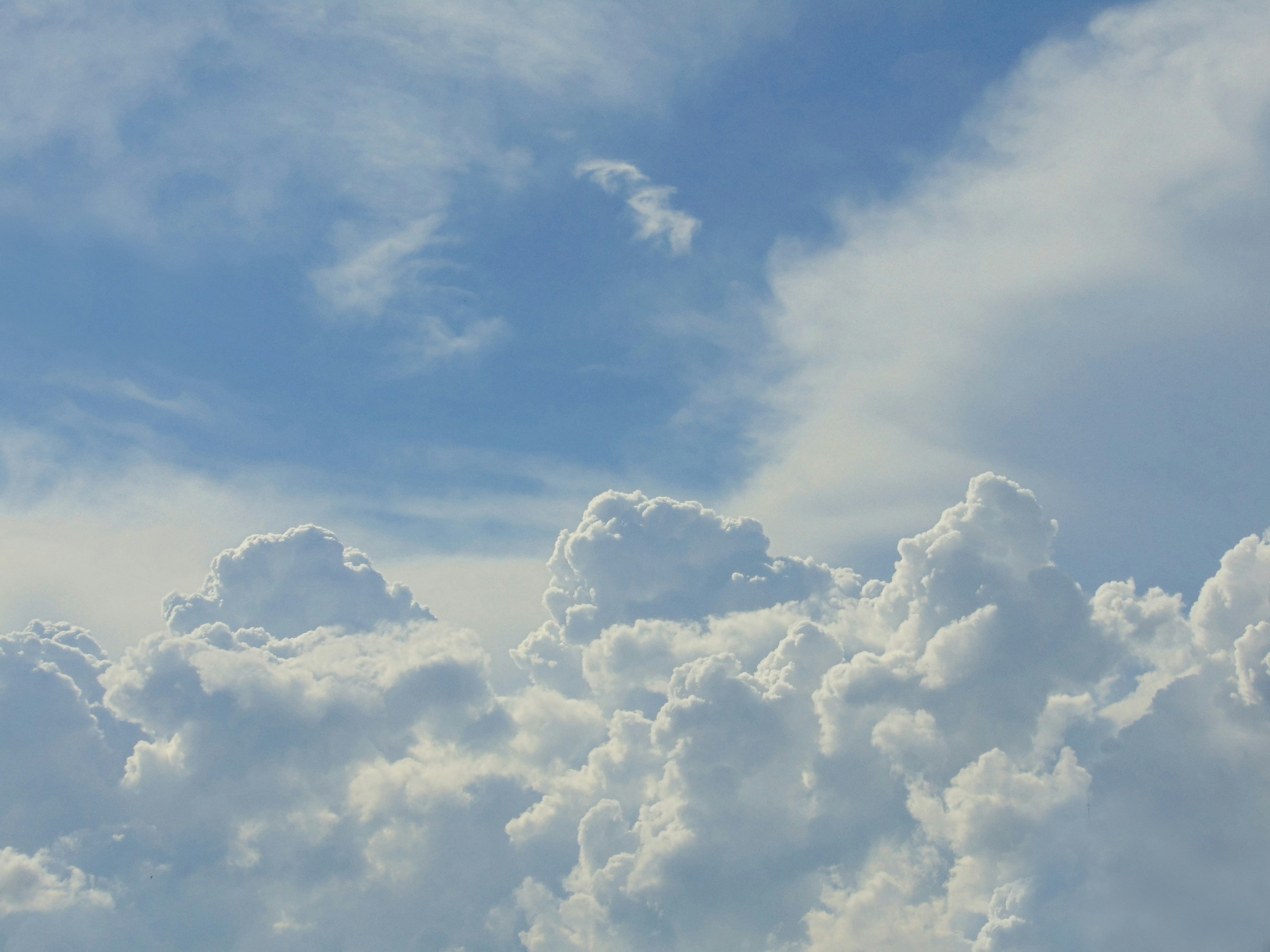 Free Unsplash photo from Ivan Terzic