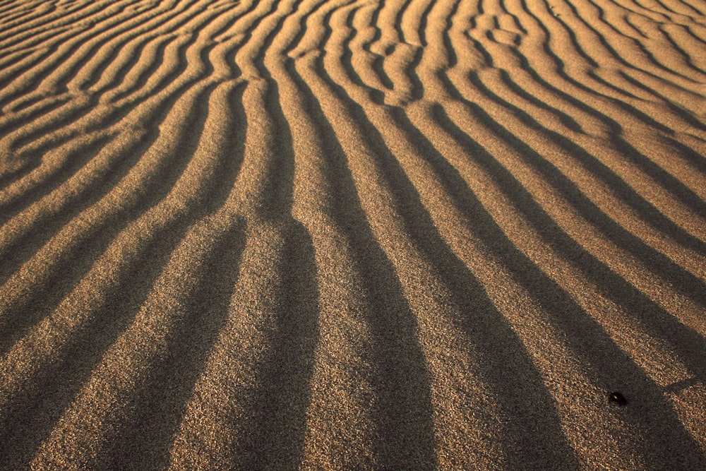 Foto von Wüstendünen