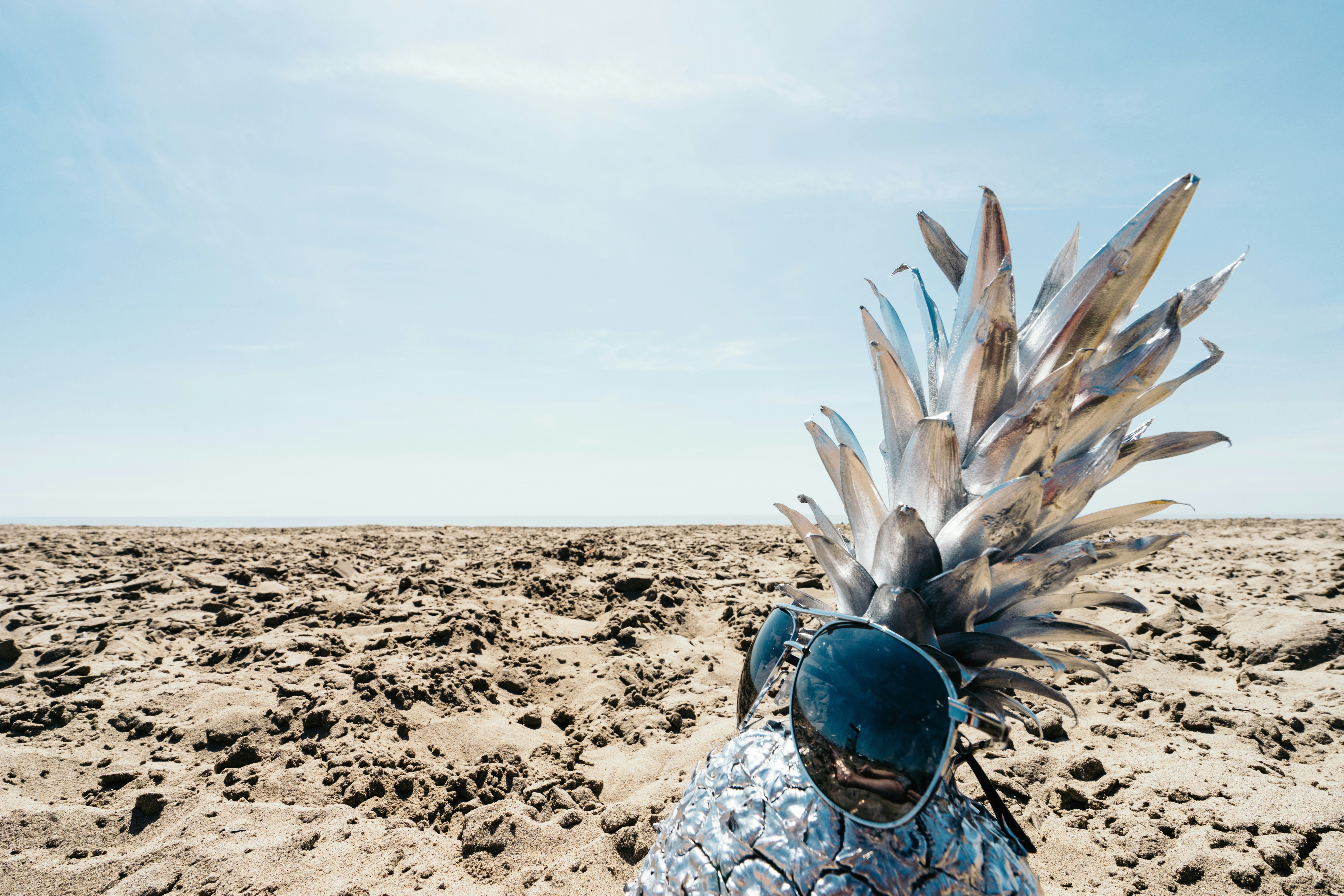 Free Unsplash photo from Pineapple Supply Co.