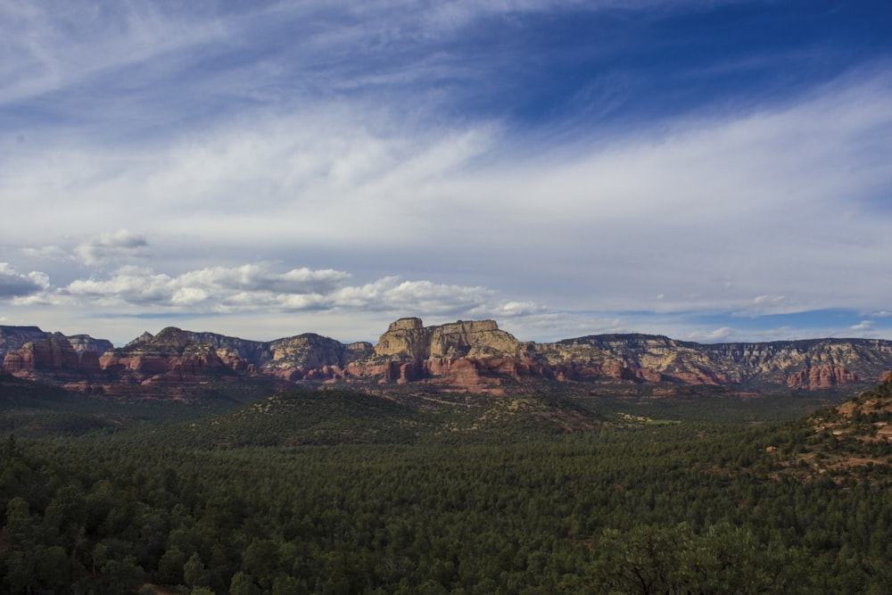 landscape photography of trees and mountains