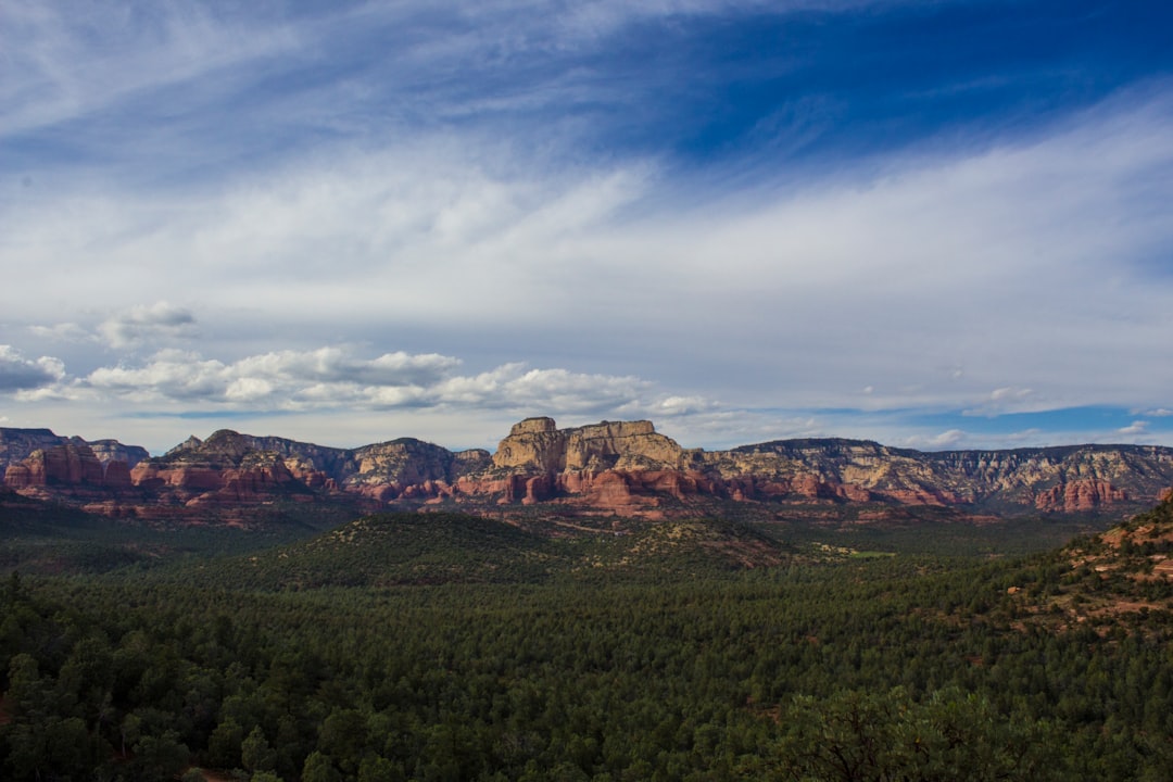 landscape photography of trees and mountains