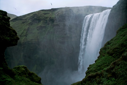 waterfalls surrounded by mountains in Skógafoss Iceland