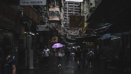 Kowloon things to do in Mong Kok